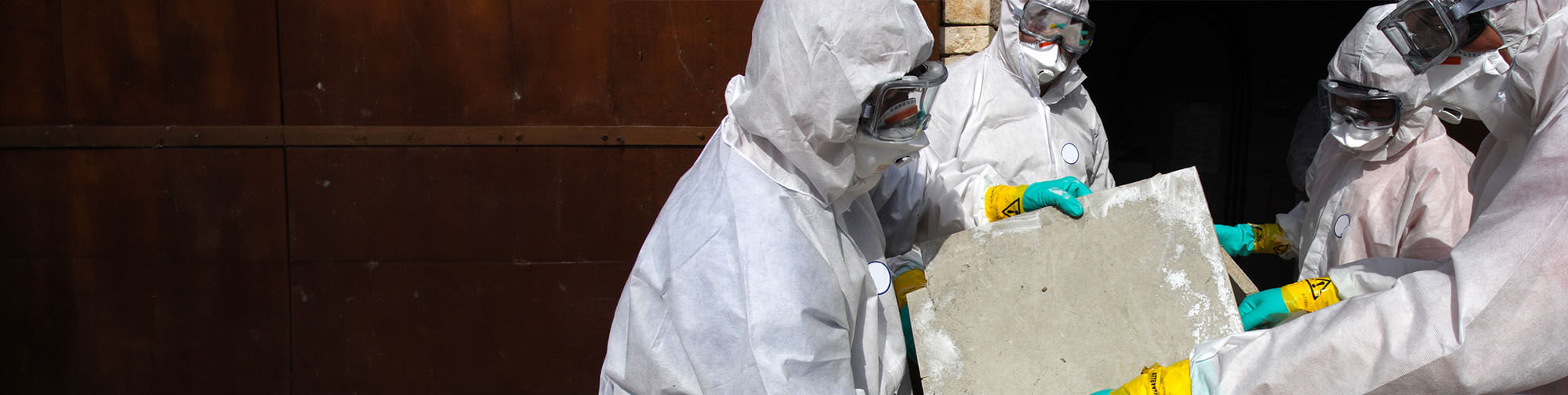 Asbestos removal professionals